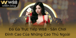 A Ga Truc Tiep W88 San Choi Inh Cao Cua Nhung Cao Thu Ngoai Troi 1