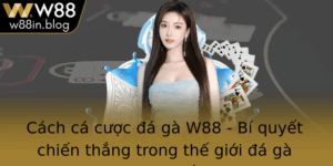 Cach Ca Cuoc A Ga W88 Bi Quyet Chien Thang Trong The Gioi A Ga Truc Tuyen