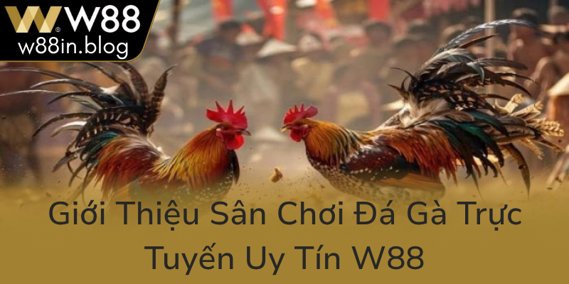 Gioi Thieu San Choi Da Ga Truc Tuyen Uy Tin W880