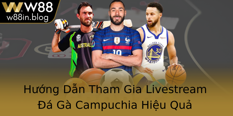 Hướng Dẫn Tham Gia Livestream Đá Gà Campuchia Hiệu Quả
