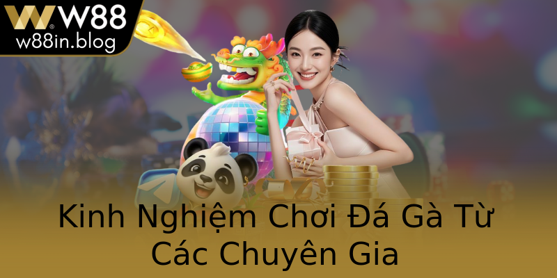 Kinh Nghiệm Chơi Đá Gà Từ Các Chuyên Gia