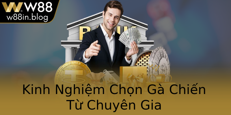 Kinh Nghiệm Chọn Gà Chiến Từ Chuyên Gia