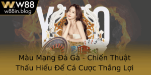 Mau Mang A Ga Chien Thuat Thau Hieu E Ca Cuoc Thang Loi Tren W88