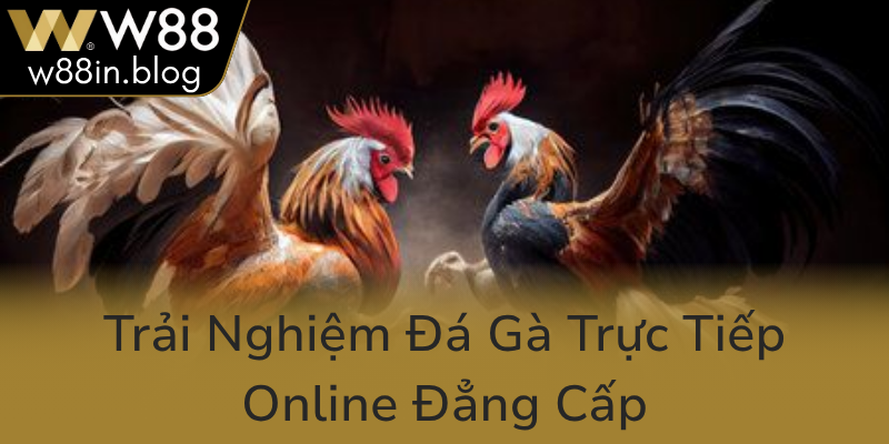 Trai Nghiem Da Ga Truc Tiep Online Dang Cap0